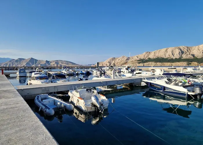 Aquarium بيت ضيافة