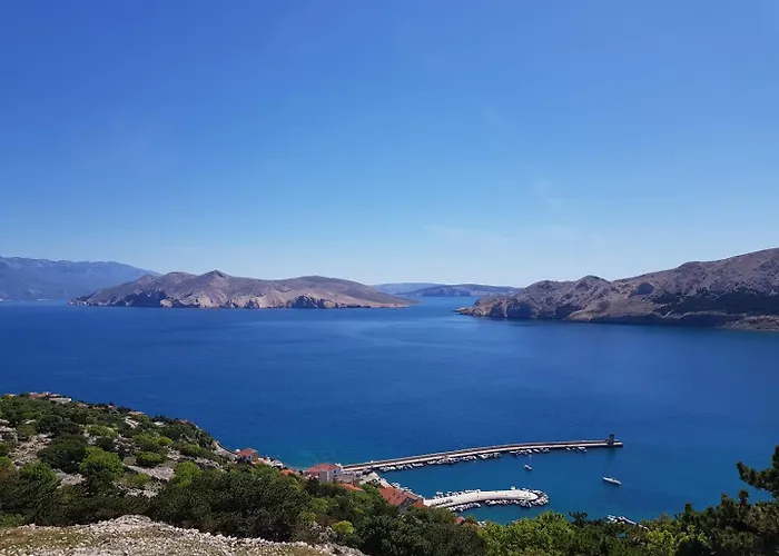 بيت ضيافة Aquarium